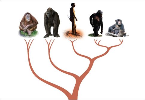 Ιοί από την εποχή των δεινόσαυρων κρύβονται ακόμα στο ανθρώπινο DNA